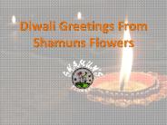 Diwali Greetings From Shamuns Flowers