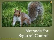 Methods for Squirrel Control