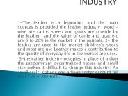 the leather industry