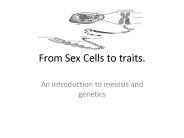 From Sex Cells to traits.