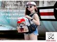 Cute dog backpacks – Combine your love for dogs with your backpack PowerPoint PPT Presentation