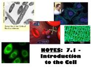 NOTES: 7.1 - Introduction to the Cell