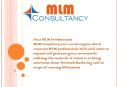 MLM website development service in India PowerPoint PPT Presentation