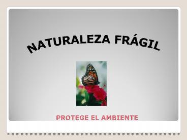 Naturaleza Frágil