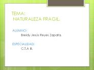 naturaleza fragil