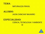 naturaleza fragil