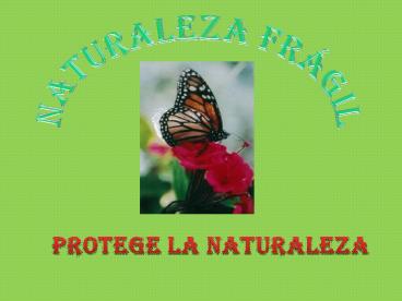 NATURALEZA FRAGIL