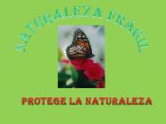 NATURALEZA FRAGIL