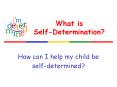 What is Self-Determination? PowerPoint PPT Presentation