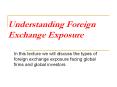 Understanding Foreign Exchange Exposure PowerPoint PPT Presentation