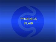 FLAIR 3.6