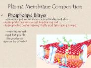 Plasma Membrane Composition