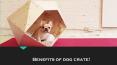 Benefits of dog crate! PowerPoint PPT Presentation