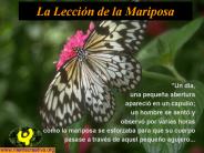 La Lecci