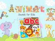 Animal Sound for Kids