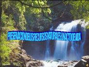 Diapositiva 1