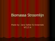 Biomassa Stroomlijn