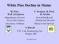 White Pine Decline in Maine PowerPoint PPT Presentation