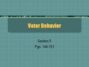 Voter Behavior