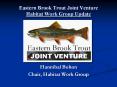 Eastern Brook Trout Joint Venture     Habitat Work Group Update PowerPoint PPT Presentation