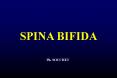 SPINA BIFIDA PowerPoint PPT Presentation