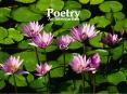 Poetry PowerPoint PPT Presentation