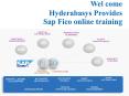 Best Sap FICO online training in USA| Sap Fico online training