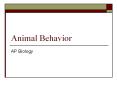 Animal Behavior PowerPoint PPT Presentation