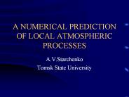 A NUMERICAL PREDICTION OF LOCAL ATMOSPHERIC PROCESSES