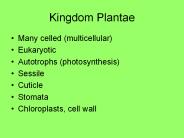 Kingdom Plantae