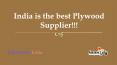 India is the best plywood supplier!!! PowerPoint PPT Presentation