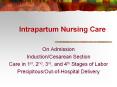 Intrapartum%20Nursing%20Care PowerPoint PPT Presentation