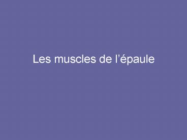 Les muscles de l