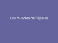Les muscles de l PowerPoint PPT Presentation