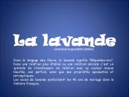La%20lavande