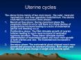 Uterine cycles PowerPoint PPT Presentation