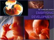 Embryonic Development