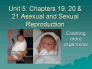 Unit 5: Chapters 19, 20