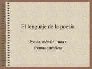 El lenguaje de la poes