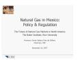 Natural Gas in Mexico: Policy PowerPoint PPT Presentation