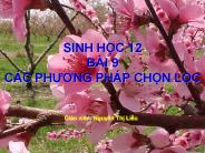 SINH H?C 12 B