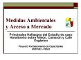 Medidas Ambientales y Acceso a Mercado PowerPoint PPT Presentation