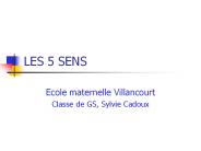 LES 5 SENS