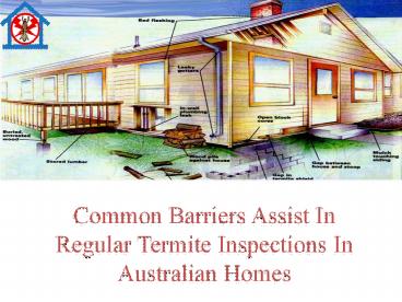 Common Barriers Assist In Regular Termite Inspections In Australian Homes