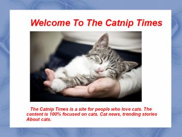 Important Tips To Known About Cat Care