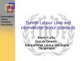 Turkish Labour Laws and international labour standards PowerPoint PPT Presentation