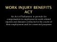 WORK INJURY BENEFITS ACT PowerPoint PPT Presentation