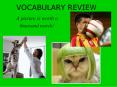 VOCABULARY REVIEW PowerPoint PPT Presentation