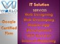 Website designing company in Noida India-visainfoworld.com (10)