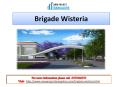 Brigade Wisteria PowerPoint PPT Presentation